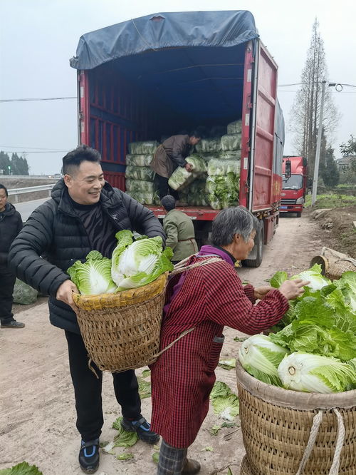 连夜驰援，温情涌动——60吨爱心蔬菜星夜奔赴西安