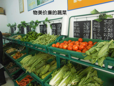 重庆生态农业基地新鲜蔬菜批发与配送指南——以农龙生态农业为例