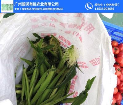 增城蔬菜配送选哪家？碧溪餐饮以新鲜与专业领跑行业