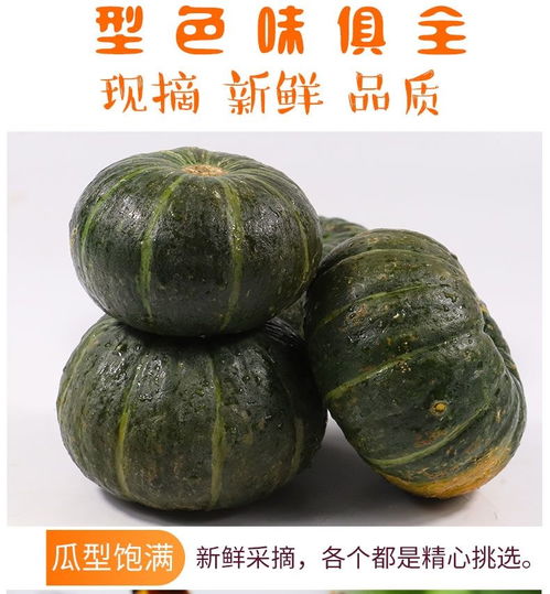 黄金小南瓜 从田间到餐桌的营养美味之旅